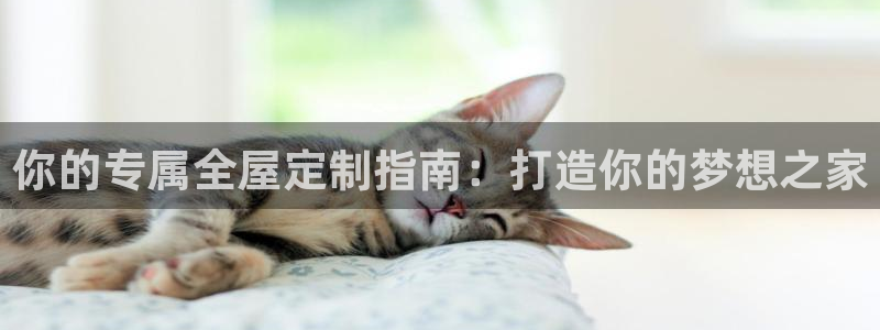bb电子哪个平台好啊