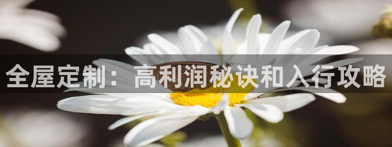 bb电子哪个平台好点