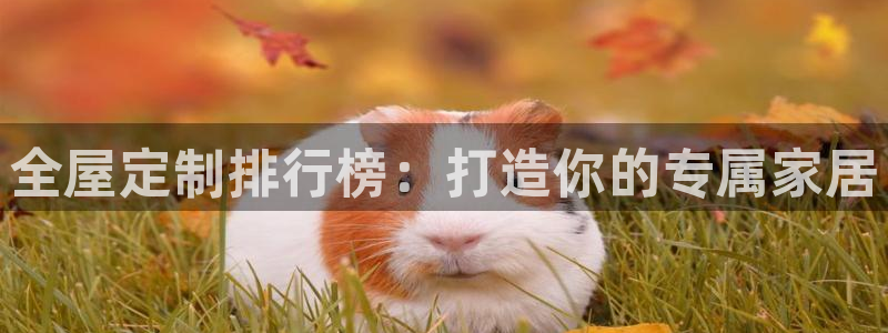 bb电子哪个平台好用点