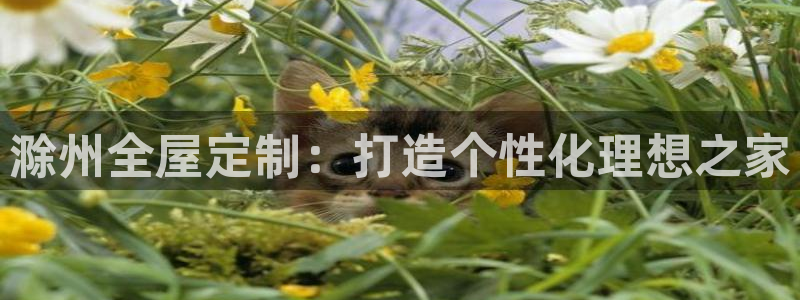 bb电子哪个游戏好赢钱啊