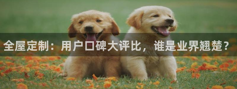 bb电子怎么样