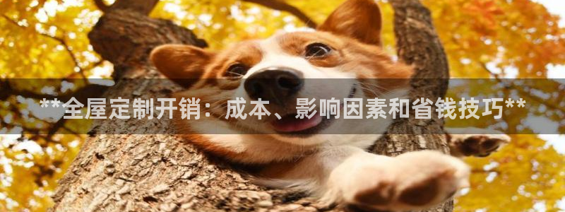 bb电子哪个游戏好赢钱