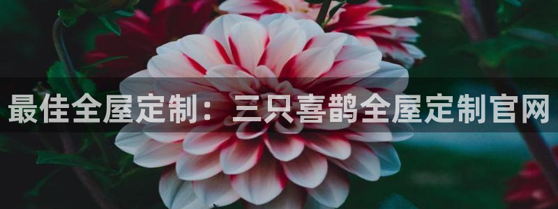 bb电子哪个平台好啊