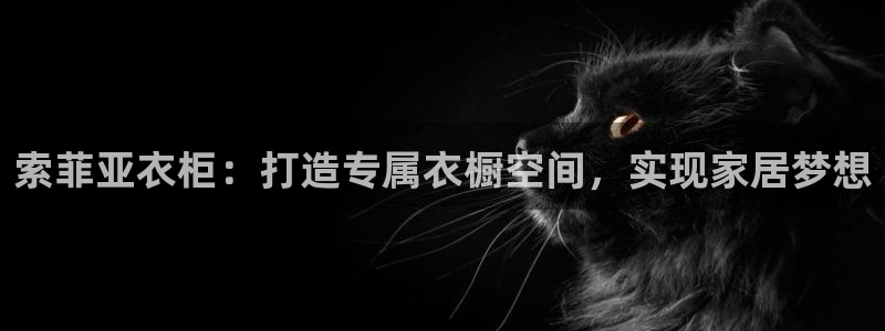 bb电子哪个平台好用一点