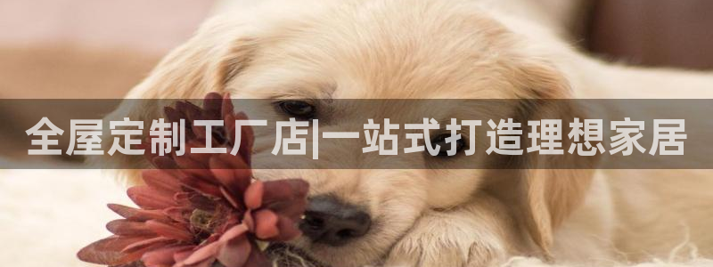 BB电子骗局