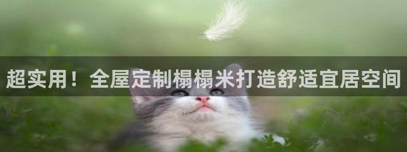 bb电子哪个游戏好赢钱一点
