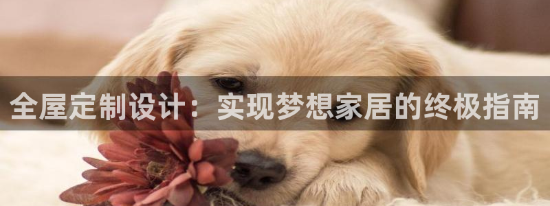 BB电子烟官网