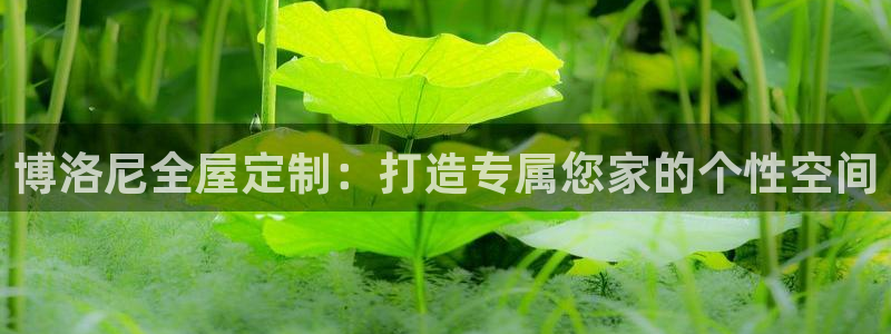 bb电子官网登录