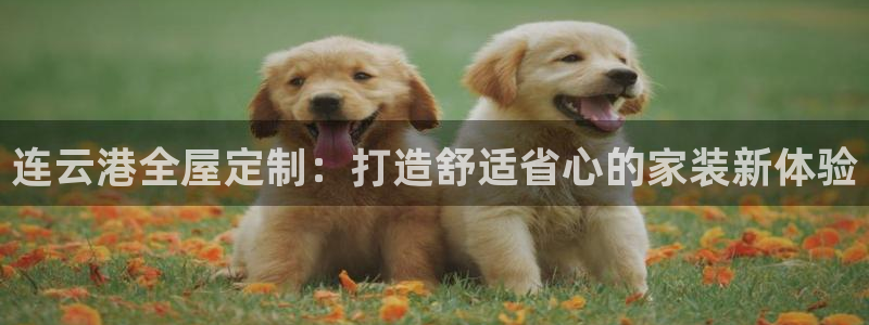 bb电子哪个平台好用点