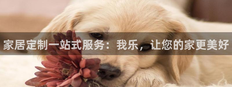 bb电子哪个平台好些