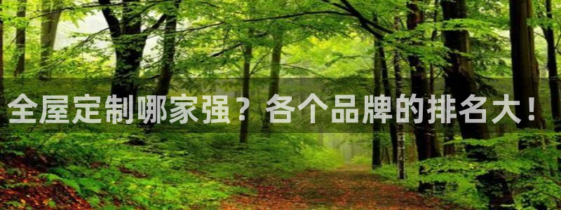 BB电子锁怎么接电