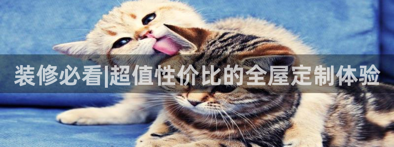 BB电子开户
