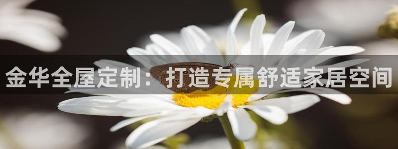 bb电子哪个平台好用