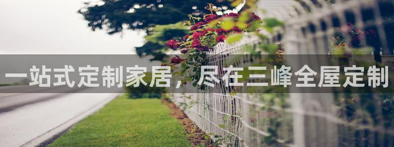 bb电子哪个平台好用