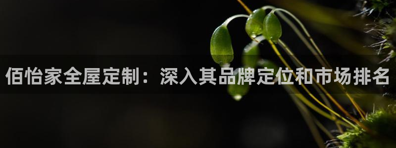 bb电子哪个平台好用点