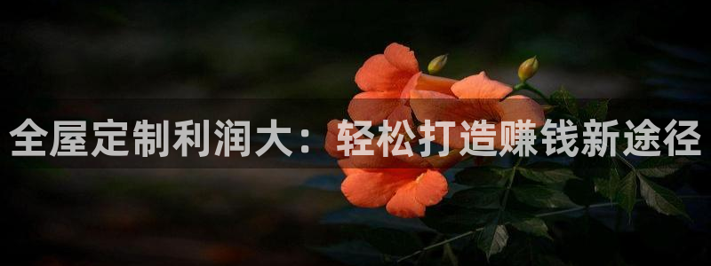 bb电子哪个平台好些