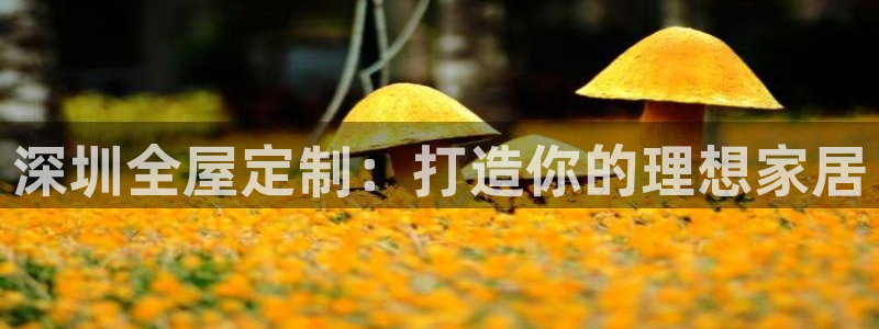 网上bb电子为什么那么假的