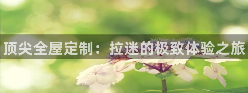 BB电子骗局