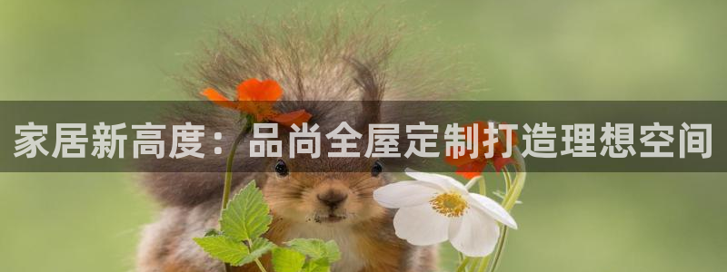BB电子烟官网