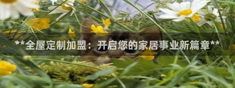 bb电子糖果彩球
