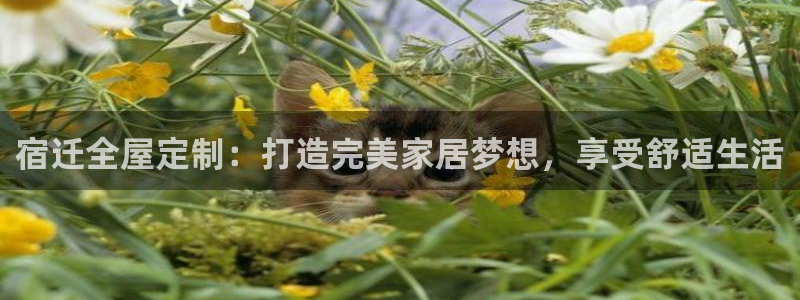 网上bb电子为什么那么假