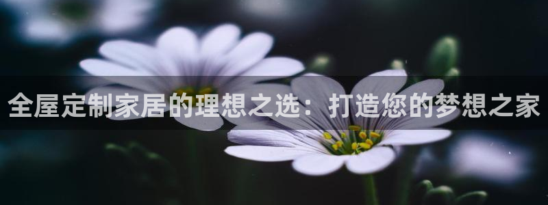 bB电子琴和弦