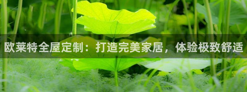xbb电子游艺