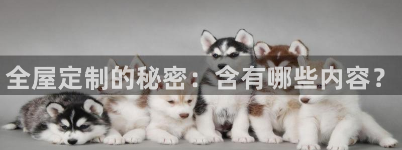 BB电子哪个平台好出款