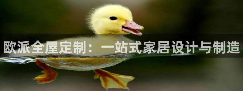 bb电子哪个平台好