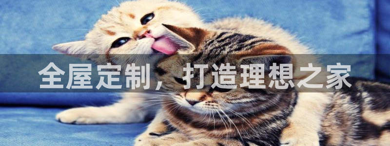 网上bb电子为什么那么假的