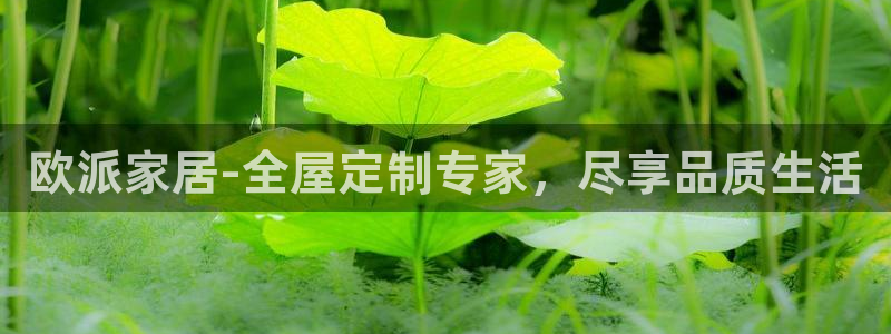 bb电子哪个平台好点