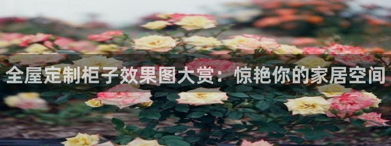 bb电子哪个平台好用