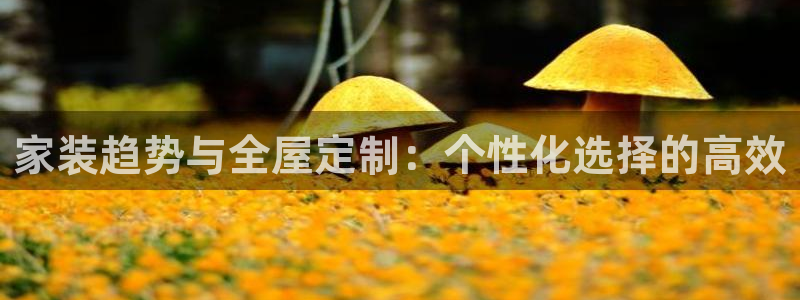 bb电子中了Major怎么算