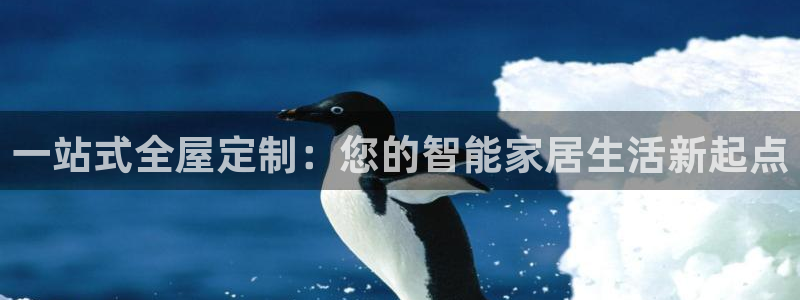 Bb电子琴和弦是哪个