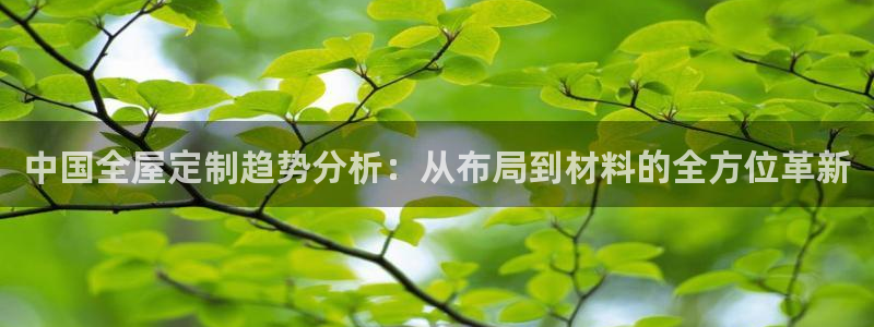 bb电子哪个平台好啊