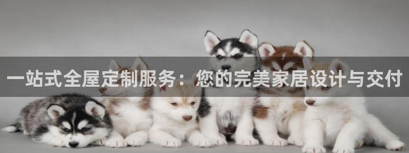 Bb电子琴和弦是哪个
