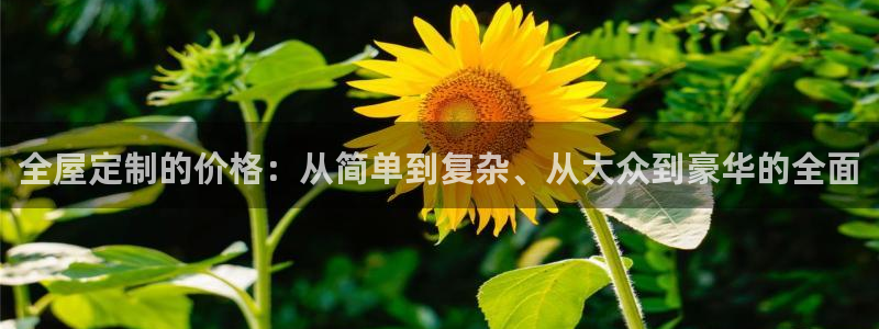 BB电子开户