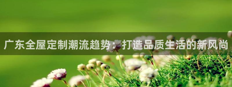 bb电子怎么英语怎么说
