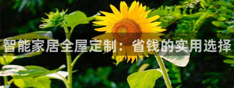 BB电子骗局