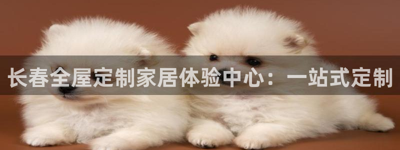 bb电子怎么英语怎么说