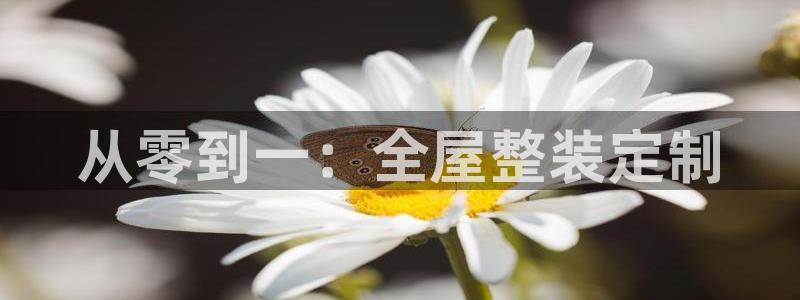 bb电子中了Major怎么算