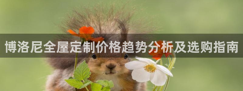 bb电子怎么样