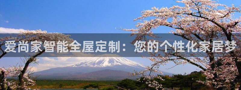 bb电子哪个平台好用点