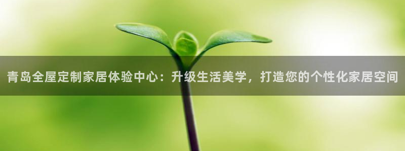 bb电子哪个平台好些