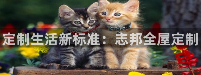 bb电子是怎么控制玩家输赢的
